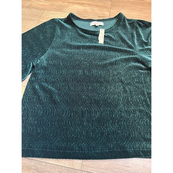NWT MADEWELL TEXTURE & THREAD Crinkle Velvet Flutter Sleeve Top - Picture 2 of 5